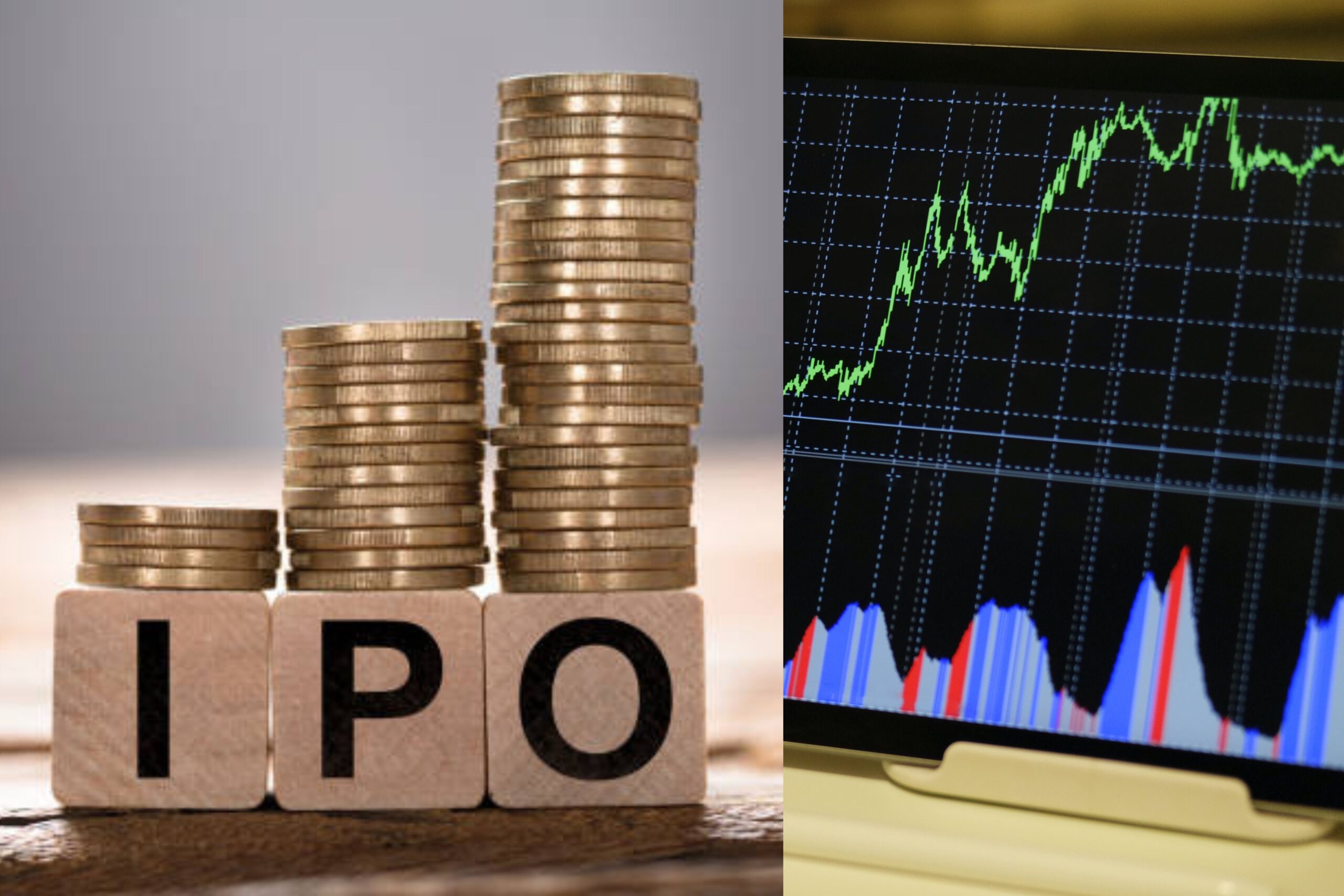 आईपीओ IPO क्या है?